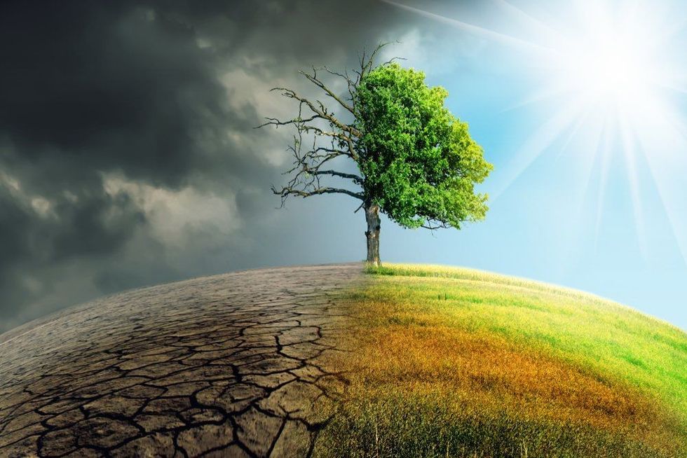 Climate change in the earth