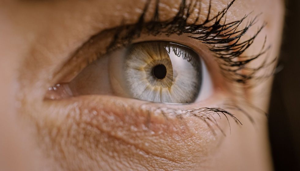 Close Up Macro Shot of an Eye.