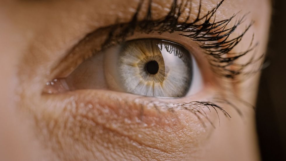 Close Up Macro Shot of an Eye.