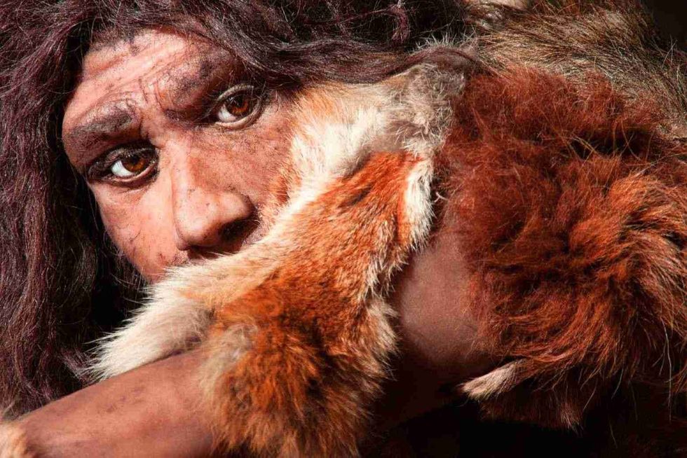 close view of a Cro-Magnon man