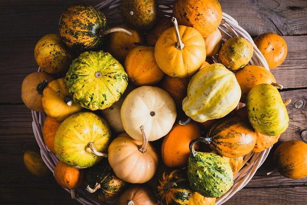 Colorful varieties of pumpkins and squashes on rustic wooden background.