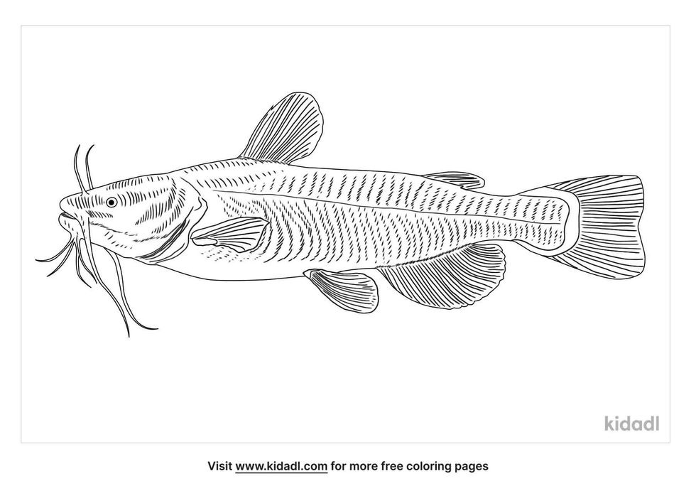 coloring page containing black bullhead image