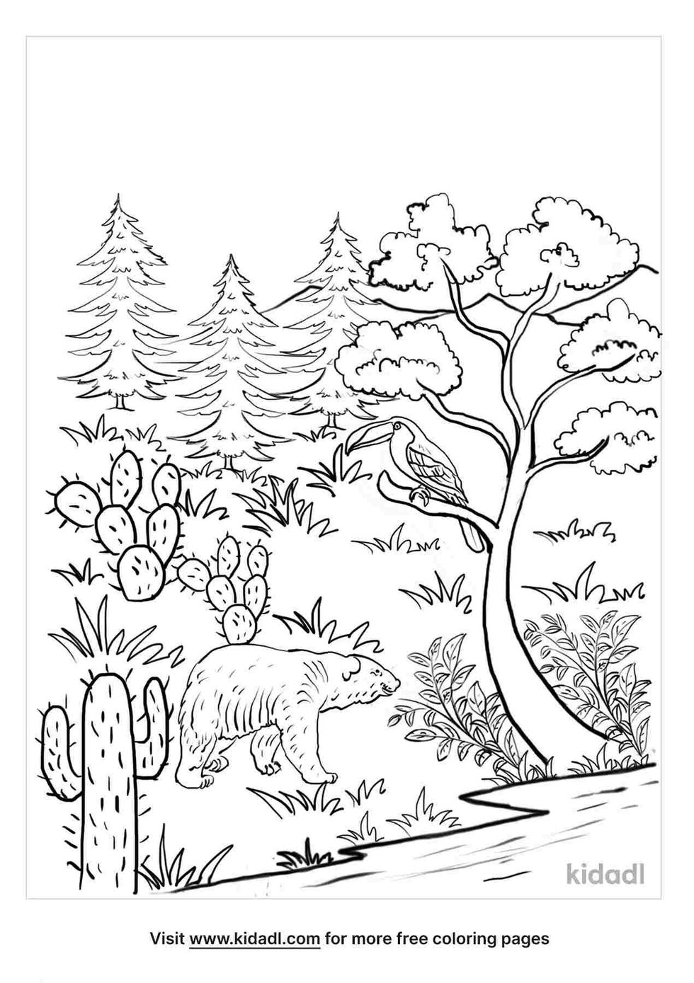 coloring page that contain biomes