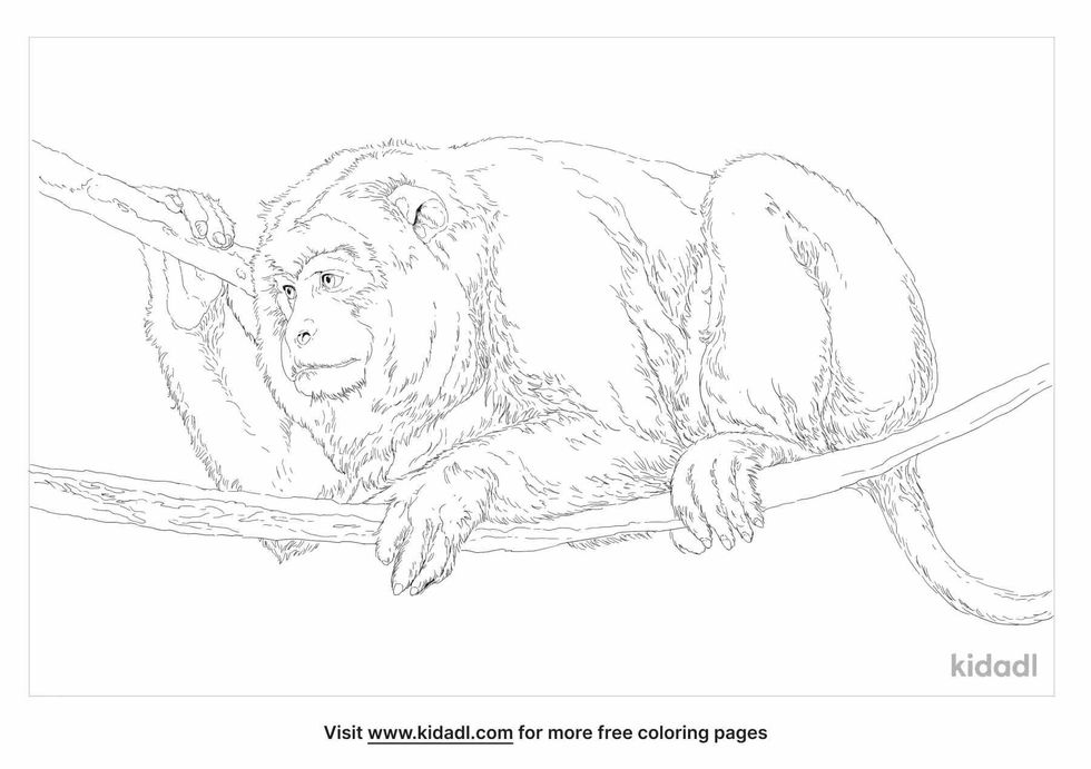 coloring page that contain black howler monkeys