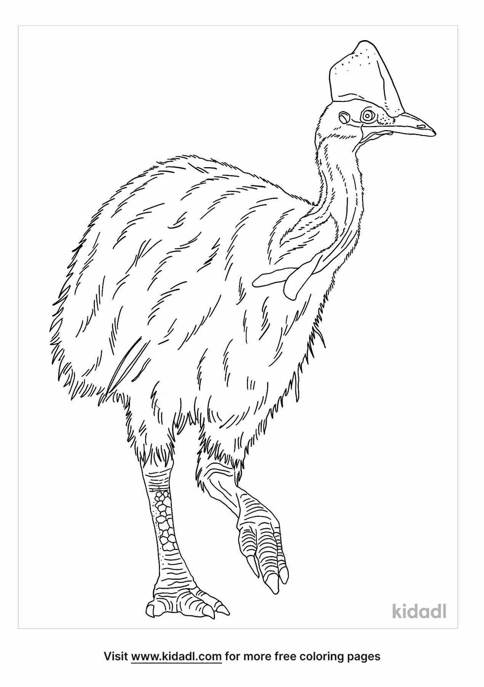 coloring page that contain cassowary