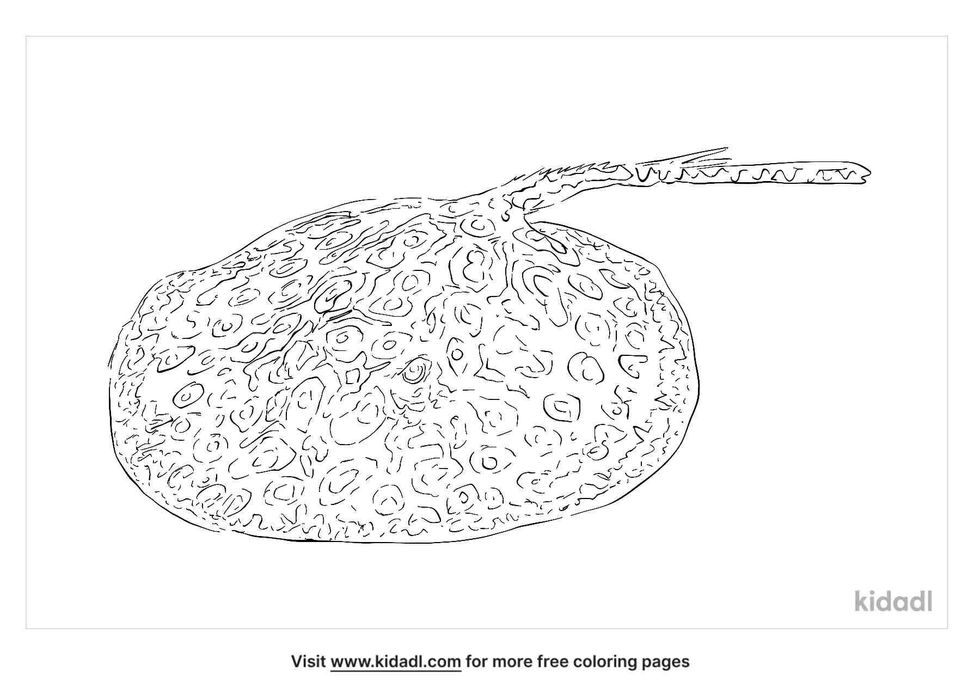 coloring page that have river stingray