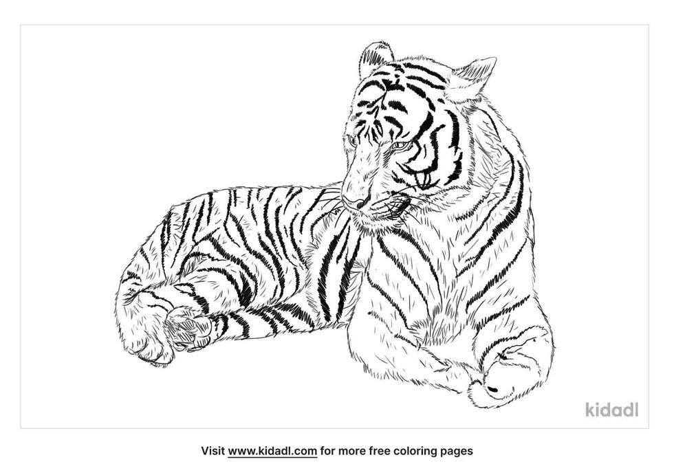 coloring page that have south china tiger