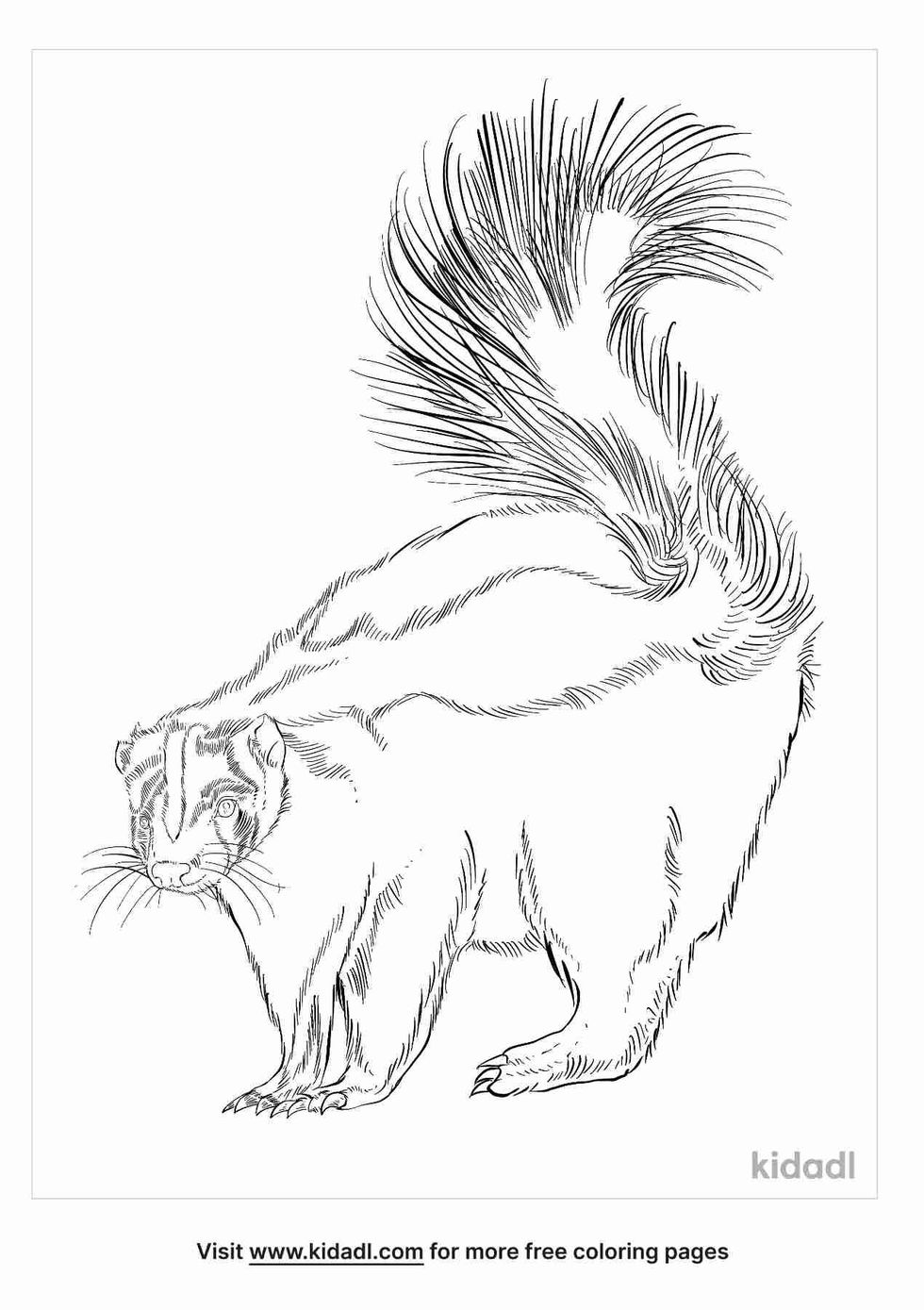 coloring page that have striped skunk