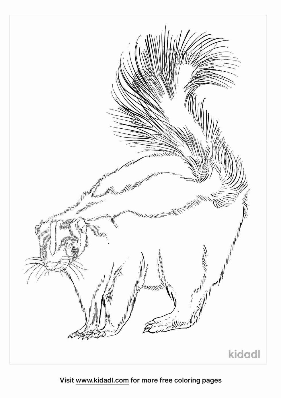 coloring page that have striped skunk