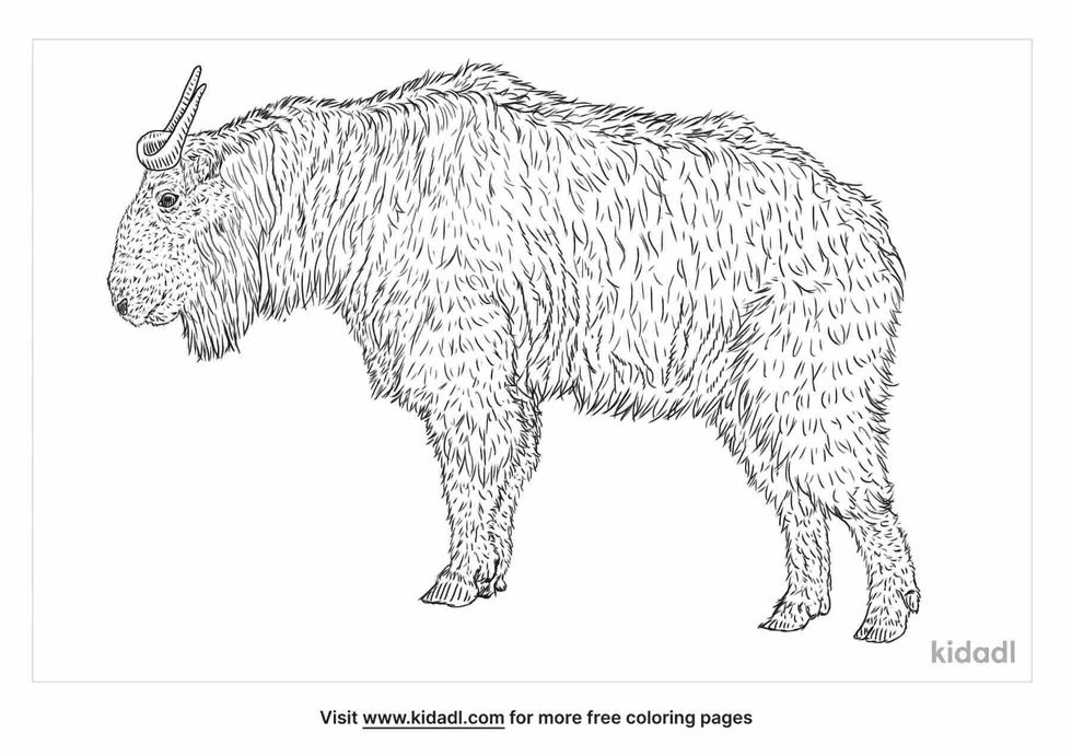 coloring page that have takin image