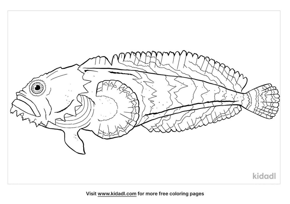 coloring page that have toadfish