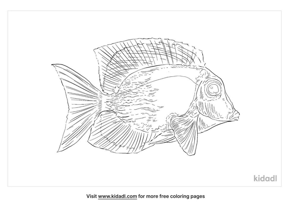 coloring page that have tomini tang