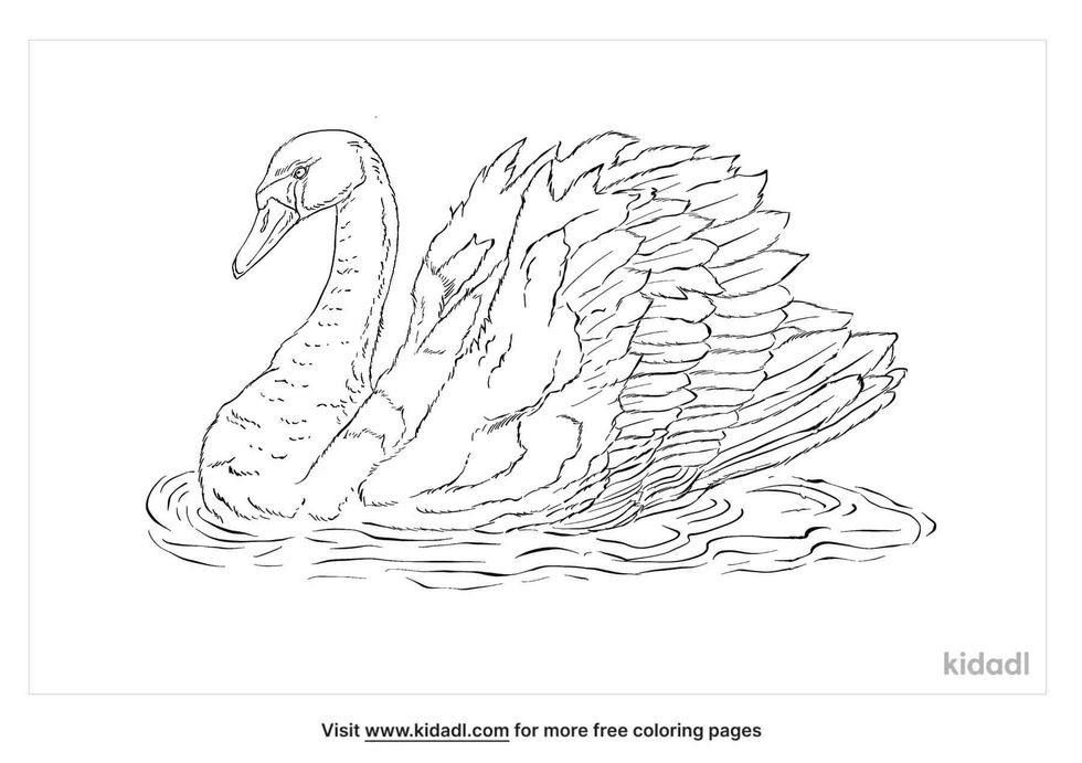 coloring page that have trumpeter swan