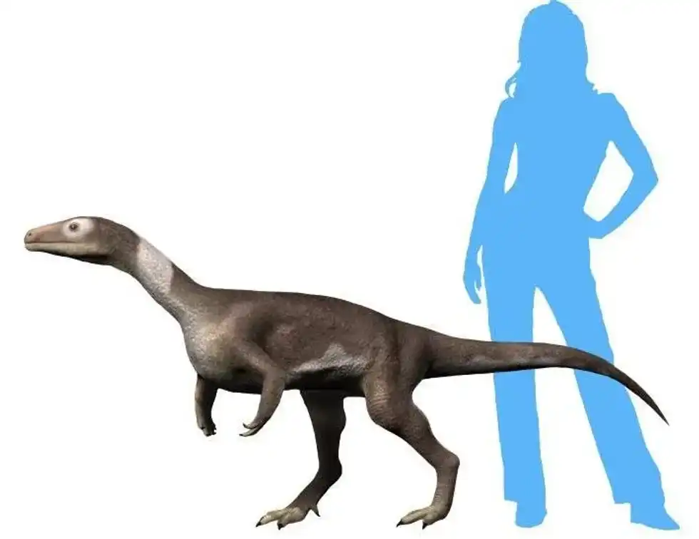 Come explore some amazing Guaibasaurus facts!