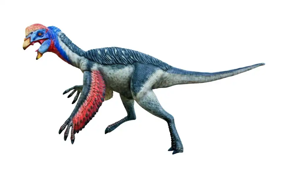Come join us as we learn about some amazing Oviraptor facts!