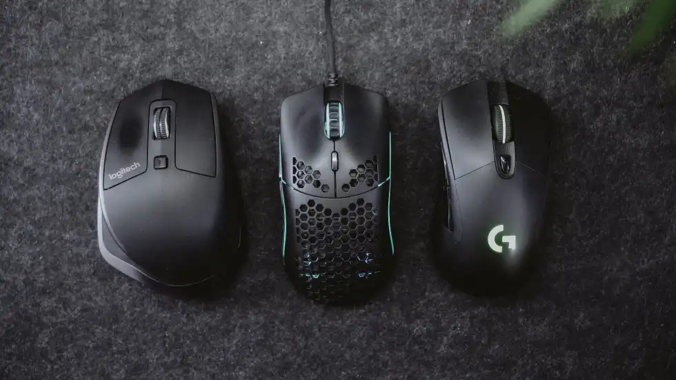 Computer mouse facts are interesting.
