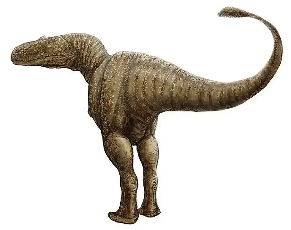 Condorraptor facts!