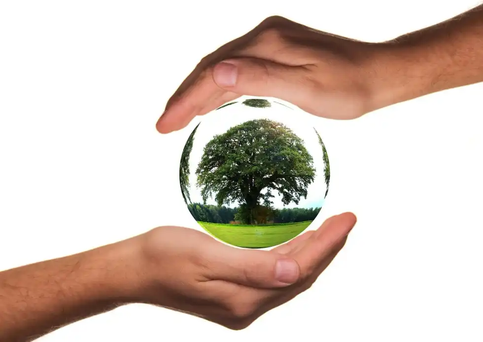27 Fascinating Conservation Facts To Help Protect Our Natural Resources