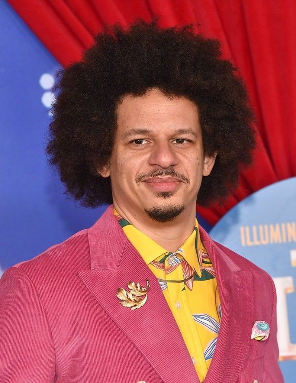 Continue reading this article to read uplifting Eric Andre Quotes.