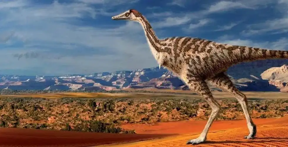 Continue reading to discover more interesting Linhenykus facts that you're sure to enjoy!