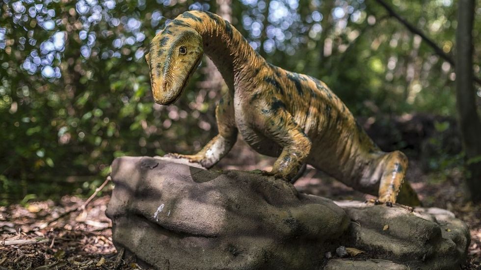 Cool dinosaur names are used across the world along with the display of an animal specimen preserved in a museum.