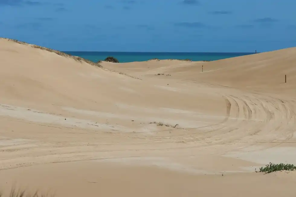 Coorong facts state that it is the largest wetland on Australia's Eyre Peninsula.