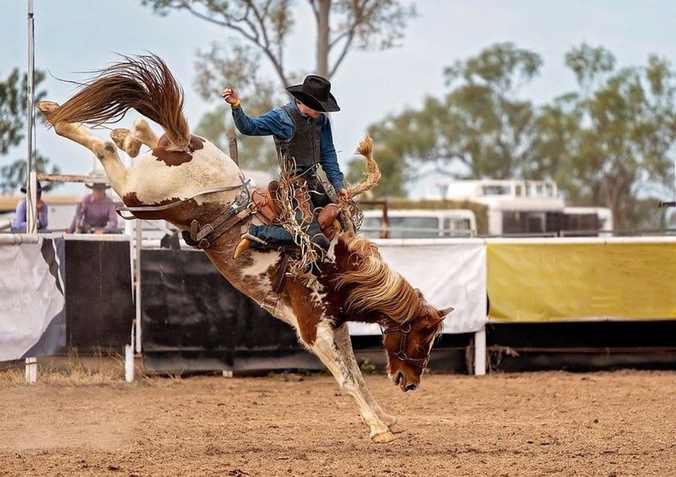 Cowboy riding a bucking bronc at a country rodeo