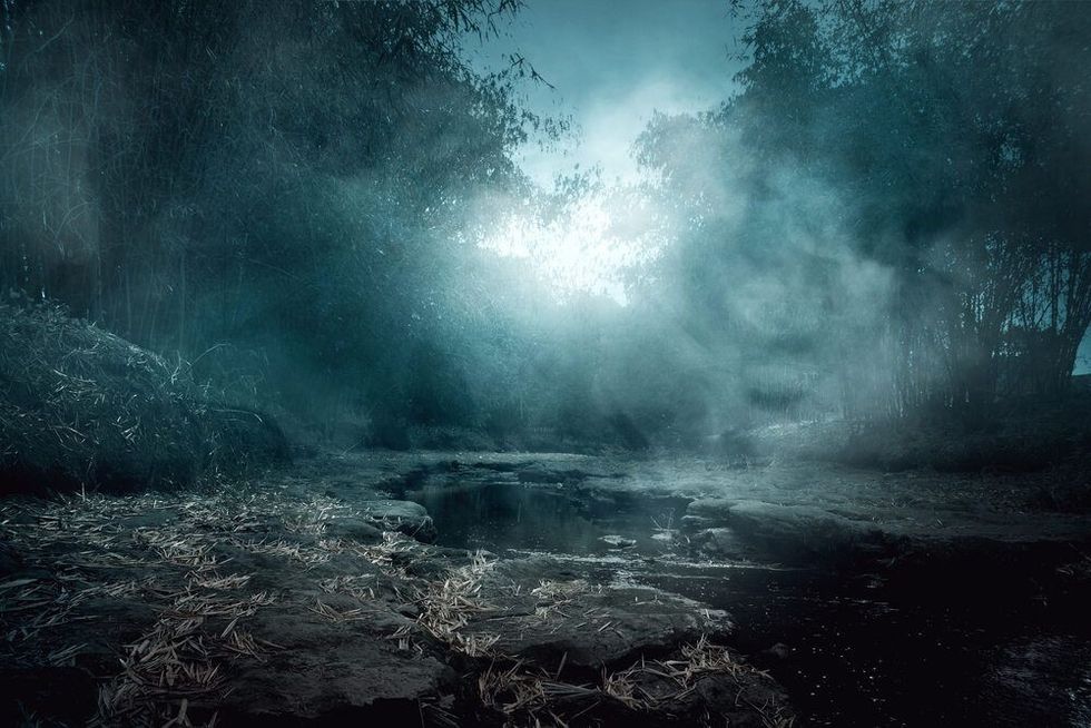 Creepy river midnight view.
