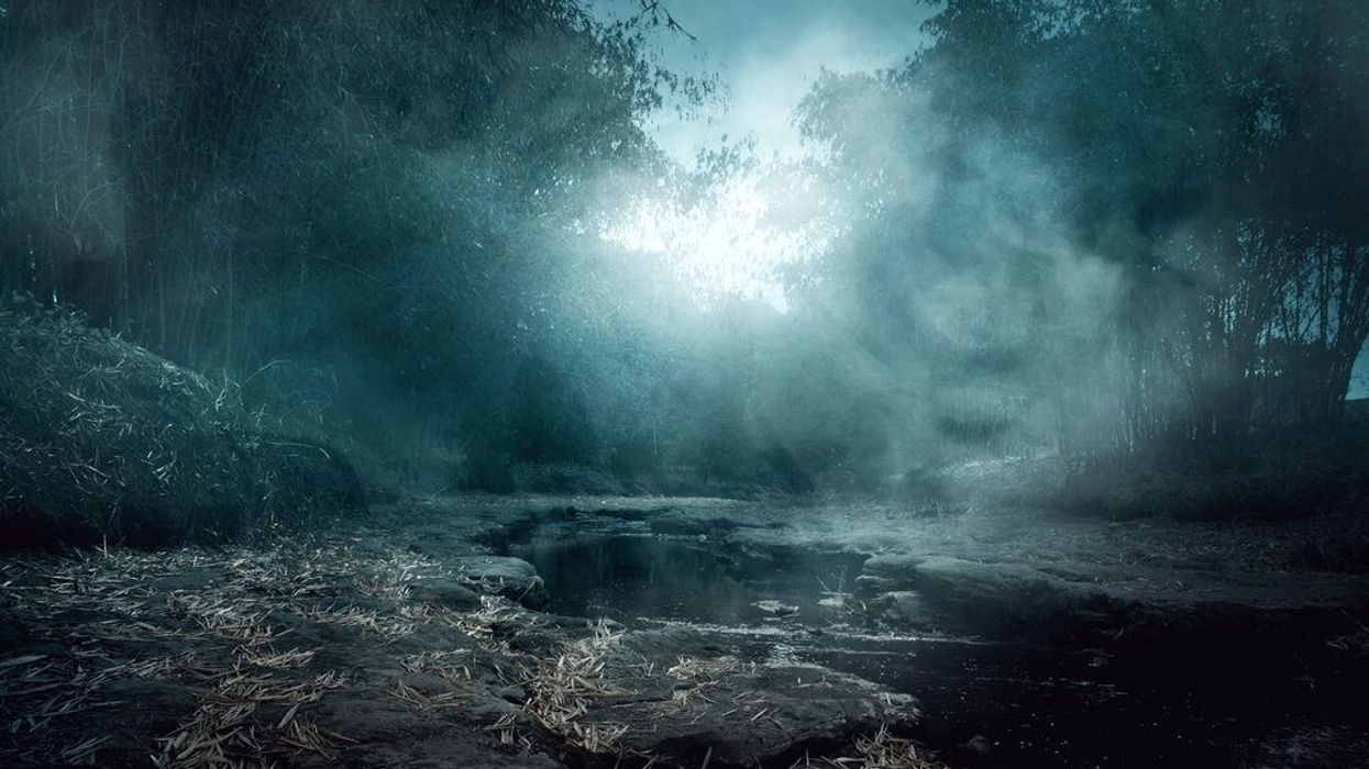 Creepy river midnight view.