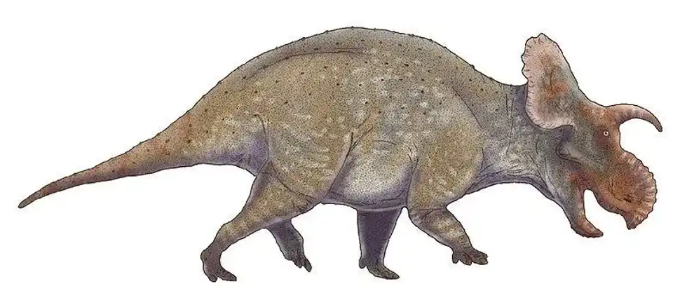 Crittendenceratops facts are interesting.