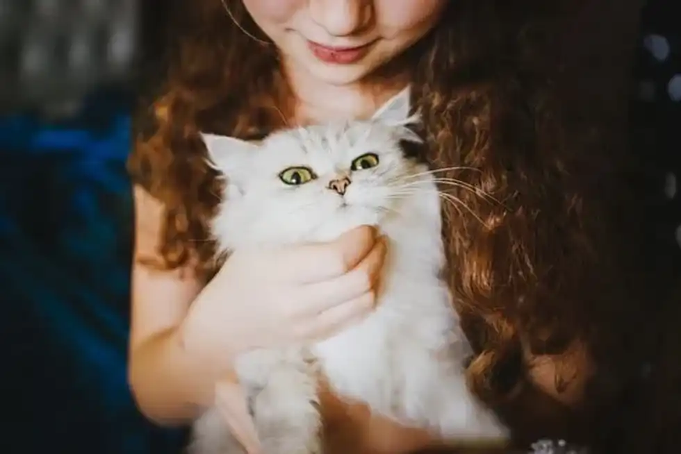 Cuddly Kitten Day is to give some extra cuddles to your adorable and affectionate fur baby.