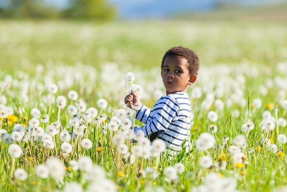 Curious young boy in dandelion field