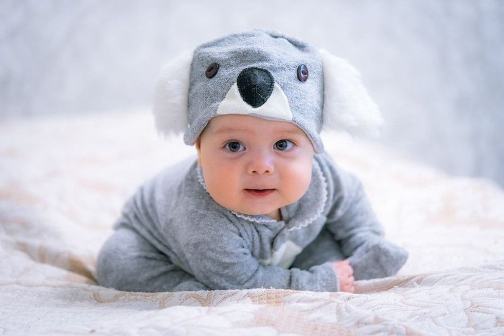 Cute baby boy in a koala costume