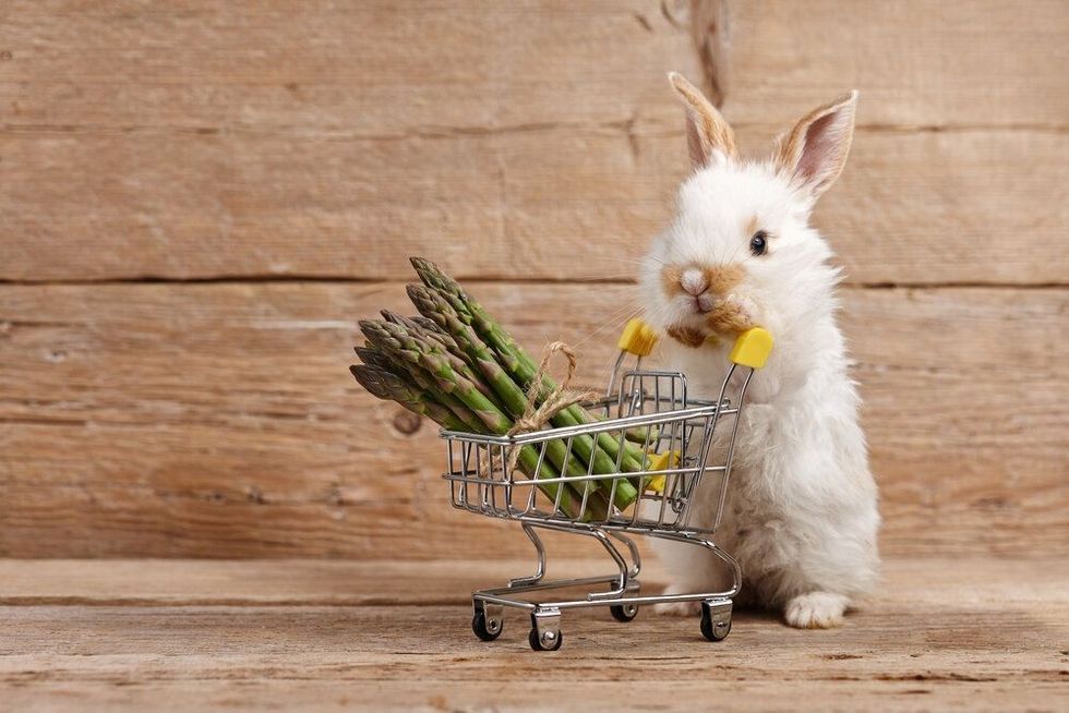 Cute bunny shopping with asparagus