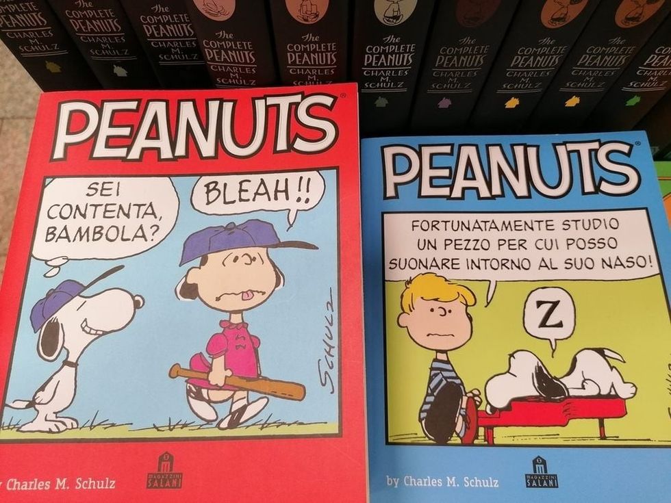 Daily comic strip and Sunday boards created by Charles M. Schulz and published in the United States of America.