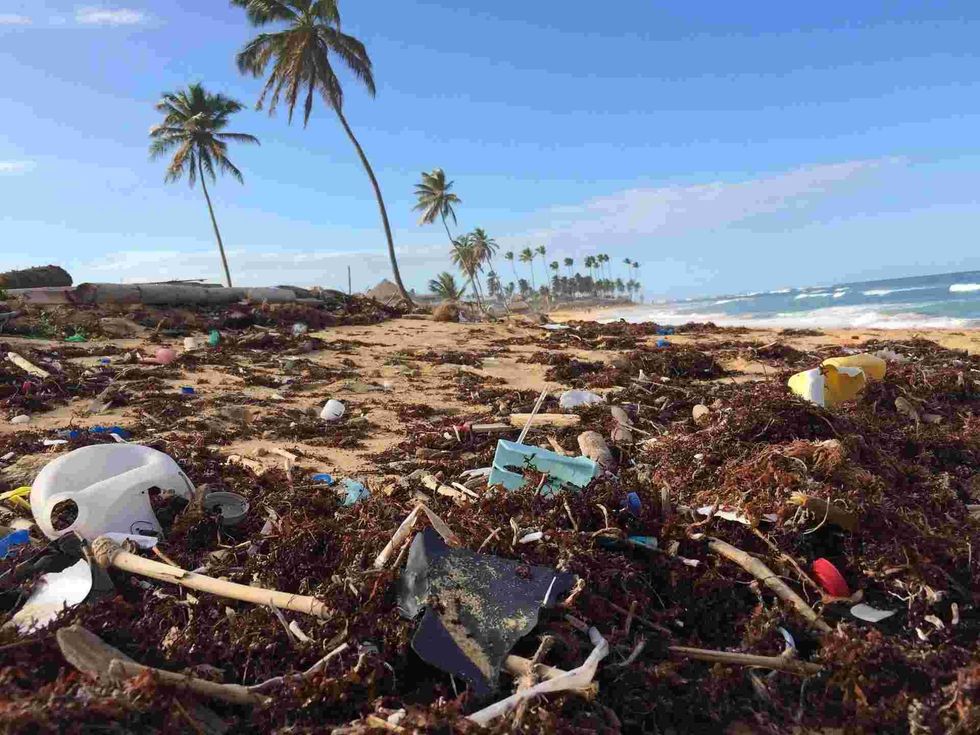 Deforestation is one of the main causes of land pollution