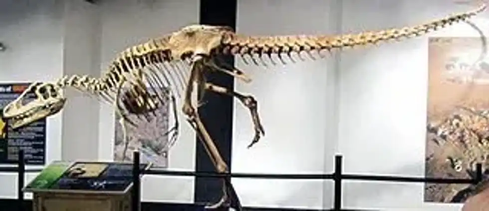 Deltadromeus facts will captivate everyone.