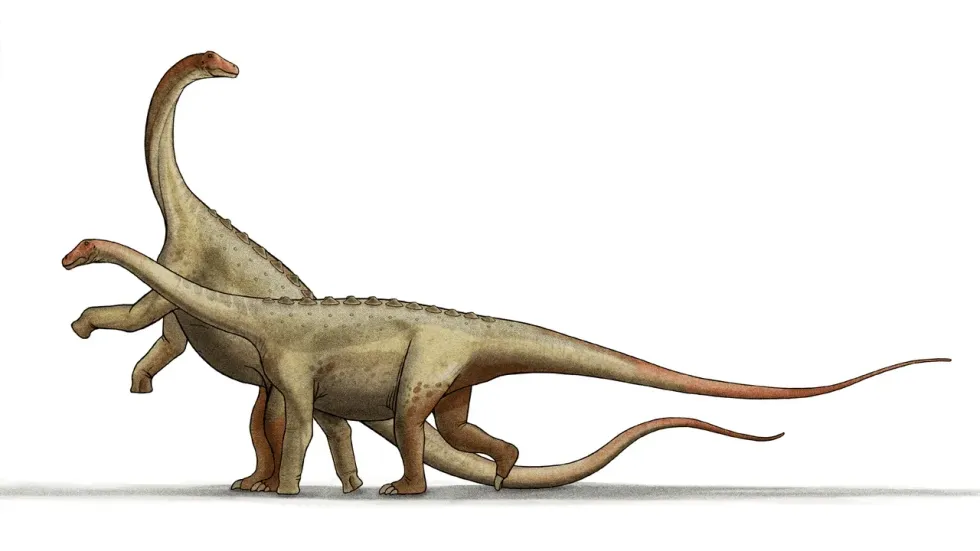 Demandasaurus facts offer great insight into the life of 'Demanda lizard' of the Iberian Peninsula.