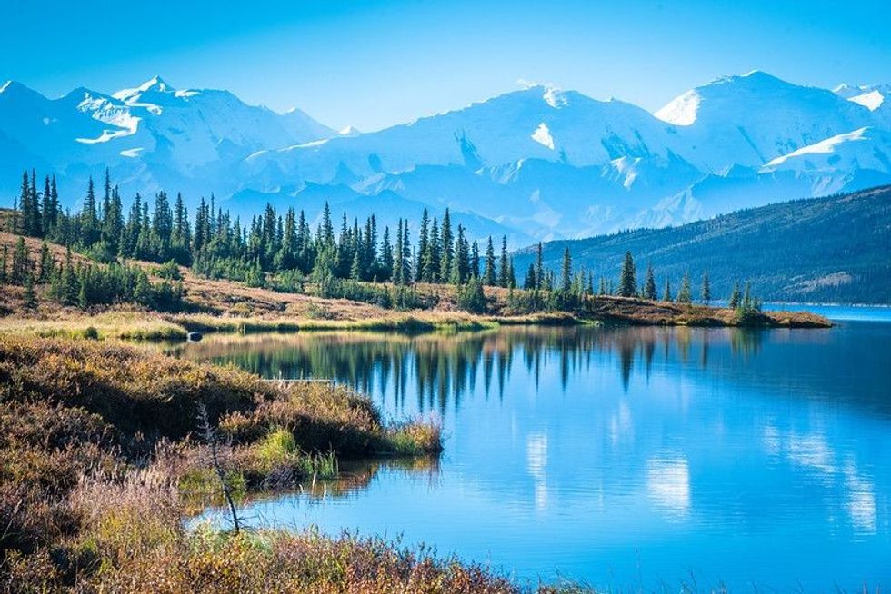Denali National Park and Wonder lake with Mountain Background