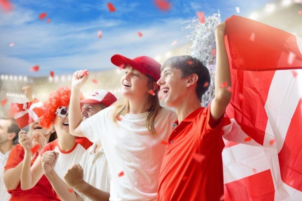 Denmark football supporters in stadium