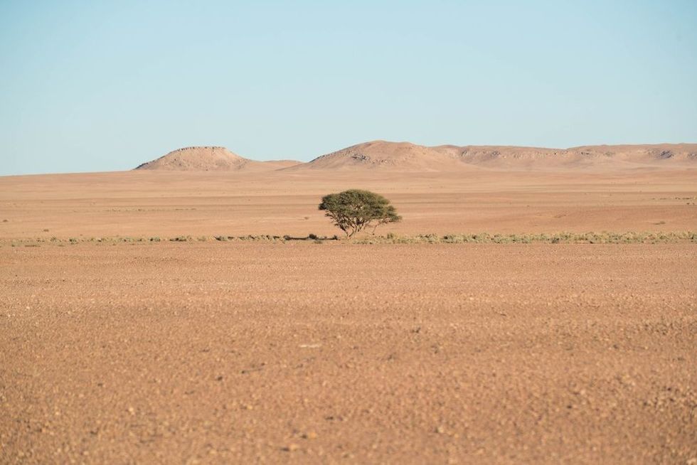 Desert in the Saudi Arabia