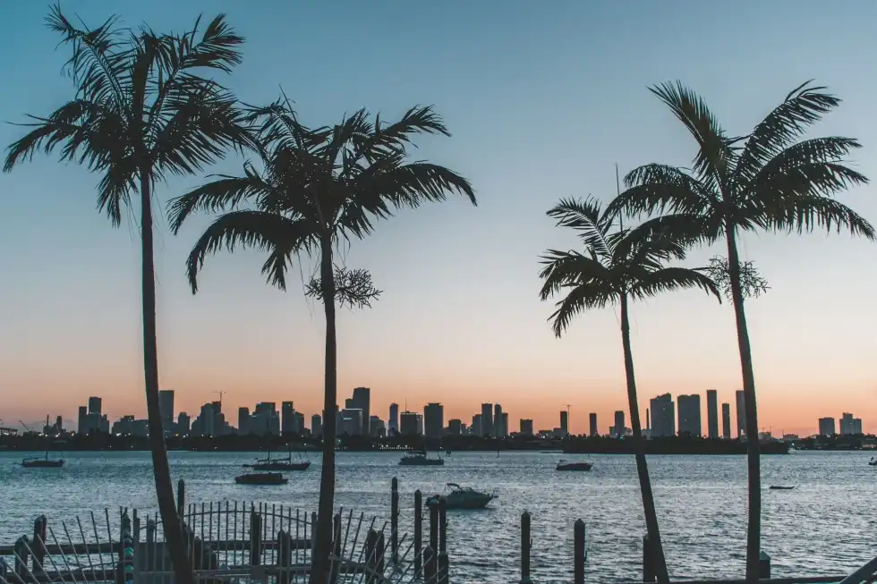 Despite experiencing severe weather conditions, Florida is known as the 'Sunshine State', this is one of many funny facts about Florida.