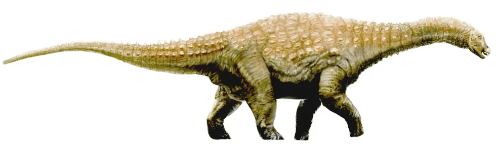 Diamantinasaurus facts are interesting to read.