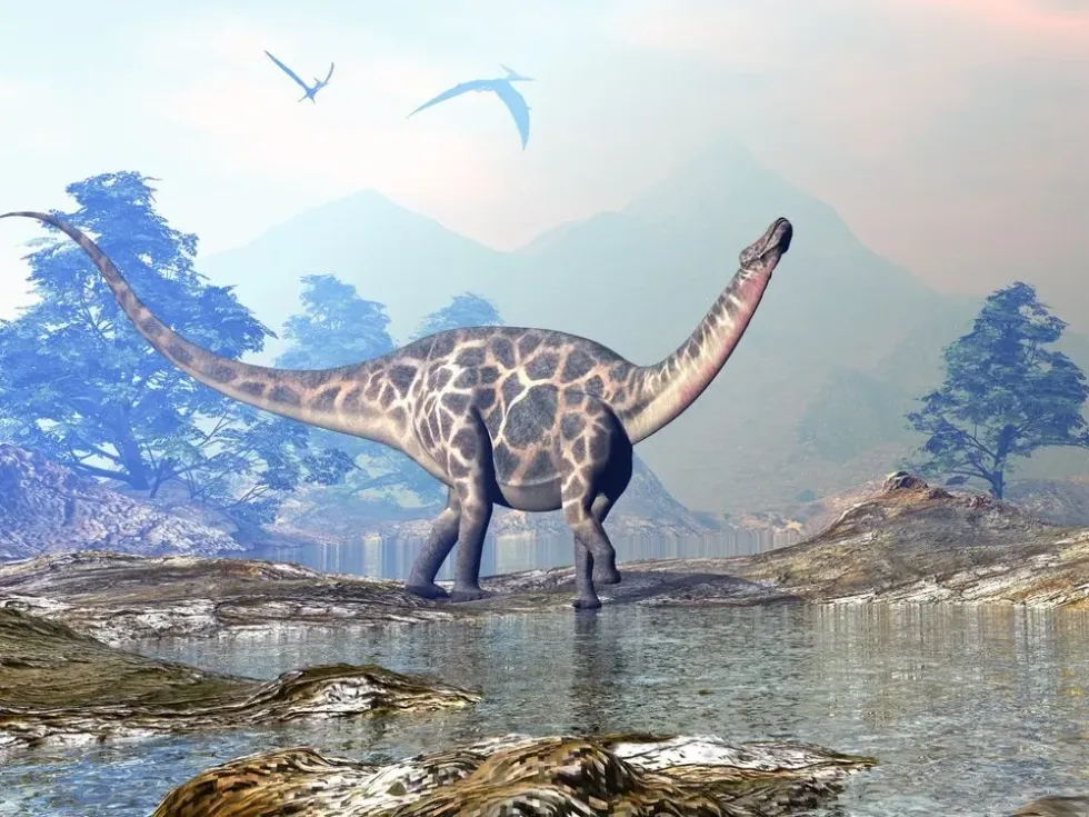 Dicraeosaurus facts talk about the vegetation they roam on.