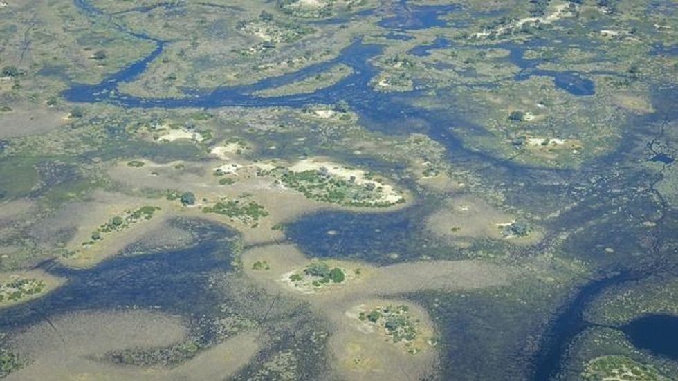 Did you know that the Okavango Delta was created during an earthquake thousands of years ago?