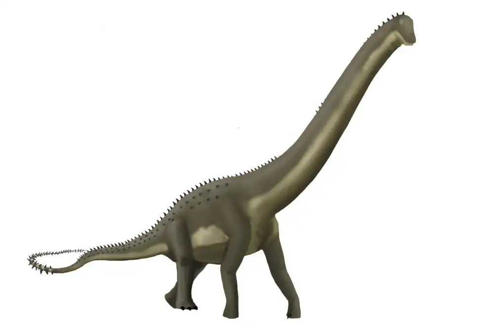 Dinheirosaurus facts are interesting.