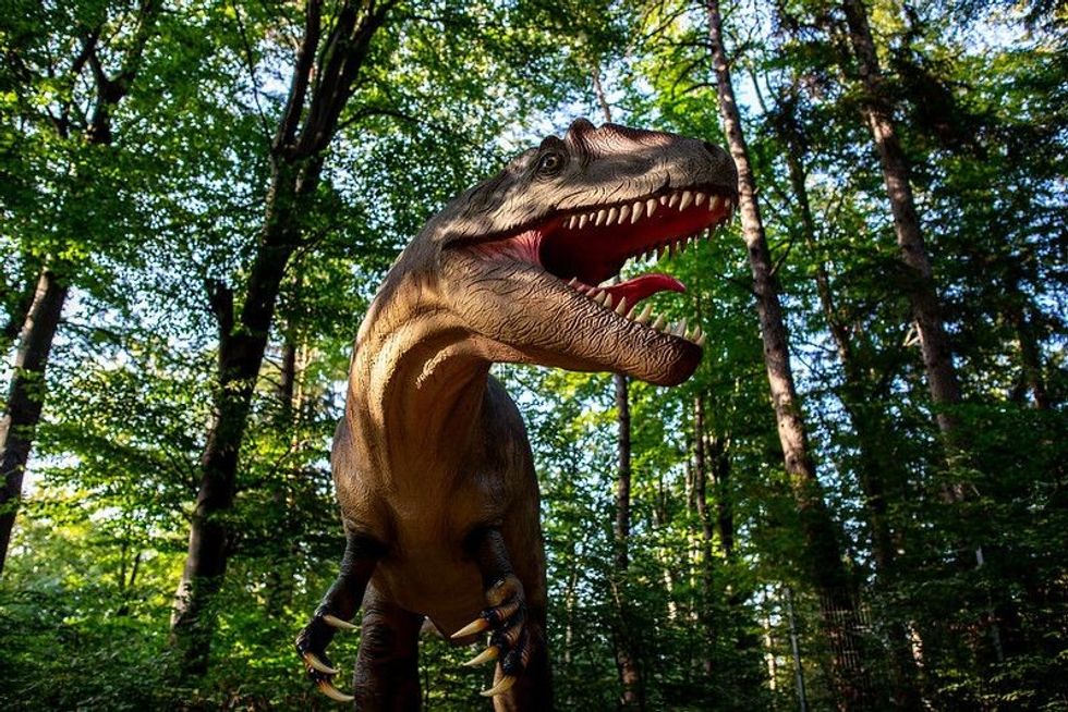 Dinosaur in the forest