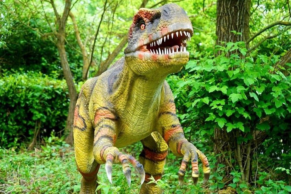 Dinosaur nicknames are fun to read!