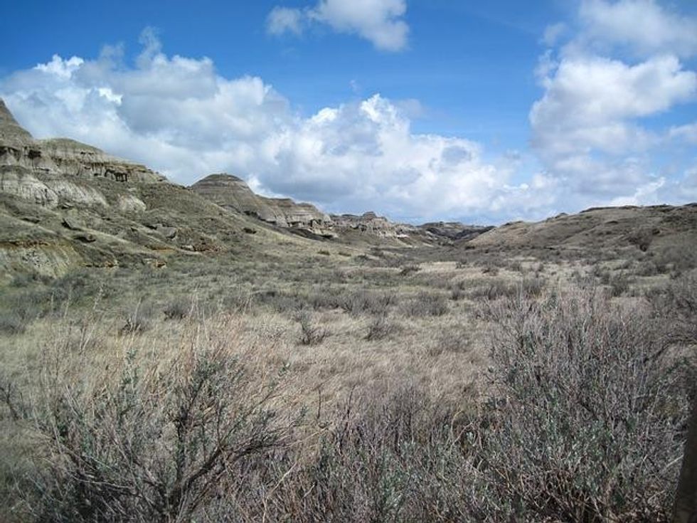 Dinosaur Provincial Park has been a Heritage Site since 1994. It holds the most extensive dinosaur fossil collection from the Cretaceous Period and has breathtaking landscapes.