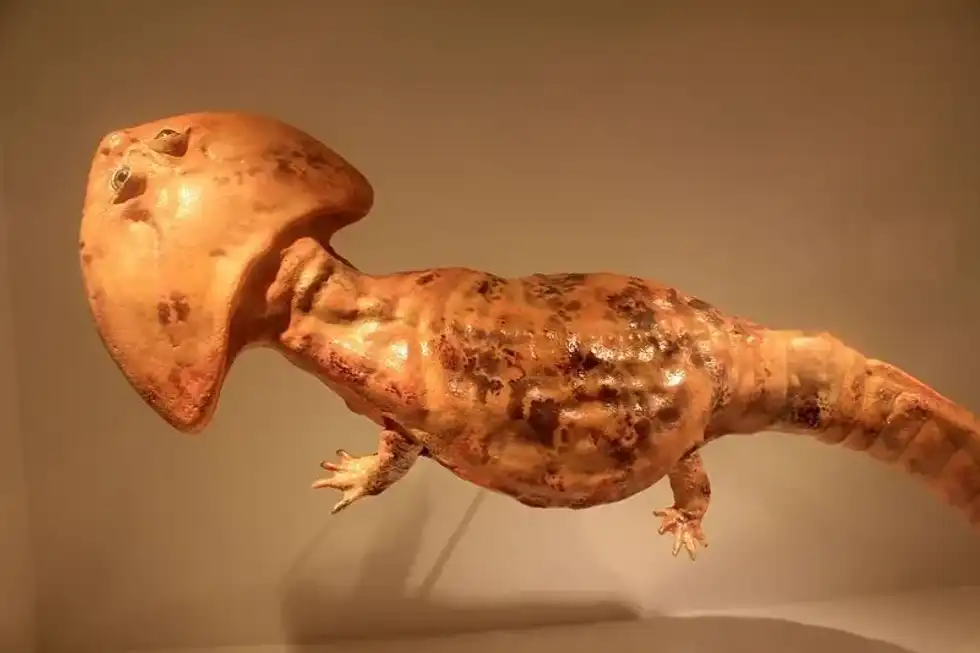 Diplocaulus sculpture with plain white background. 
